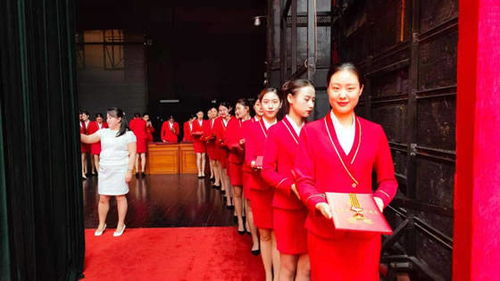 洛陽職業(yè)技術(shù)學(xué)院禮儀隊(duì)圓滿完成洛陽市七一表彰大會(huì)頒獎(jiǎng)禮儀服務(wù)與軟件開發(fā)